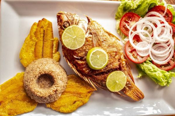 pasadia-islas-del-rosario-flamante-home