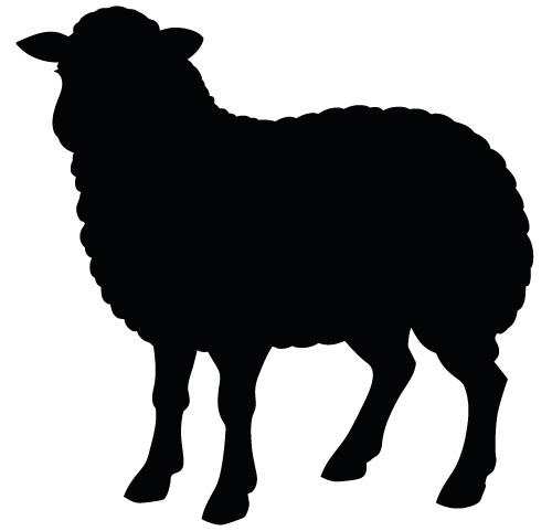 Curiosity icon