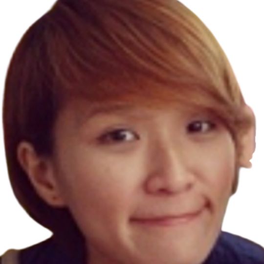 Yong Rong Lee