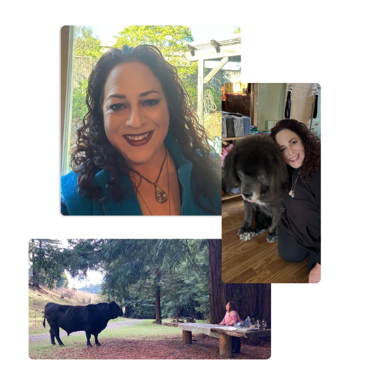 Jodi Rabbow
