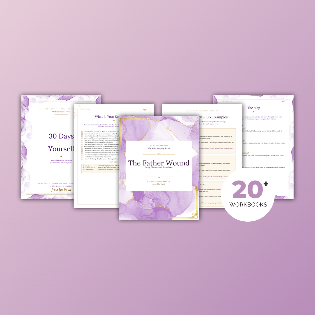 The Vault workbooks — 49 trauma-informed workbooks across eight series