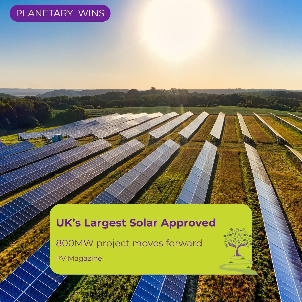 Solar Farm permission 800MW in UK