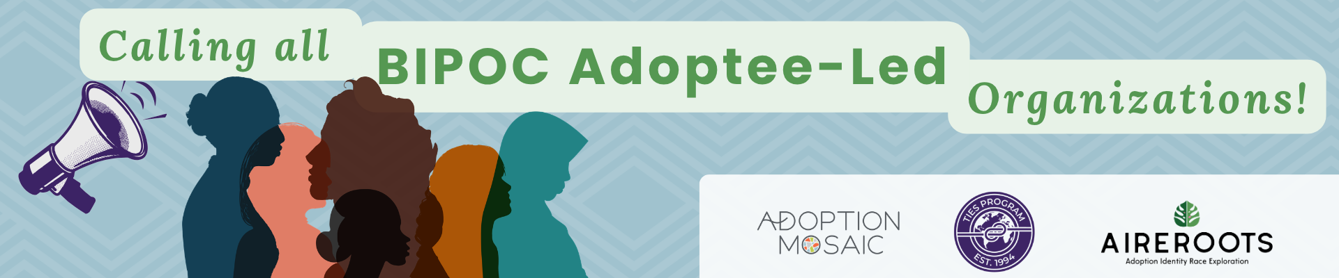 Graphic reading “Calling all BIPOC adoptee-led organizations!” with illustrated, colorful silhouettes of people, a megaphone icon, and logos for Adoption Mosaic, The TIES Program, and AIREroots.