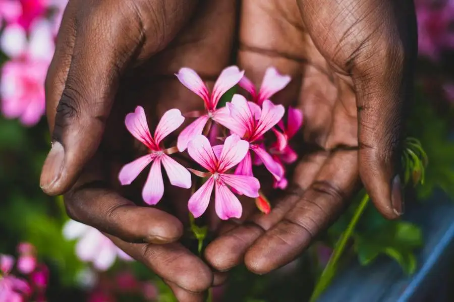 Hands holding flowers