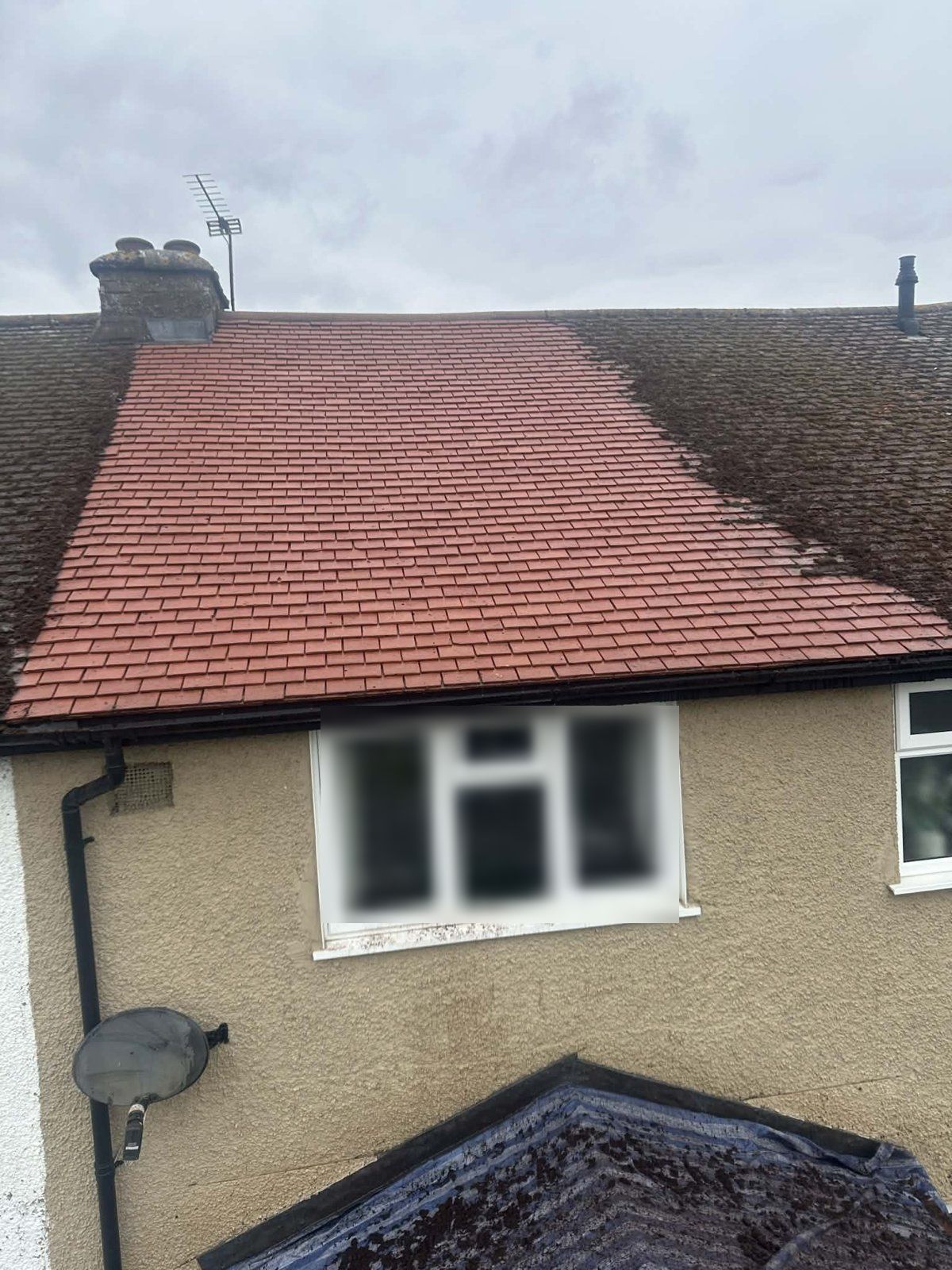 A cleaned terrace roof in bright red clay tiles between mossy neighbouring roofs, with a sheet over the lower roof