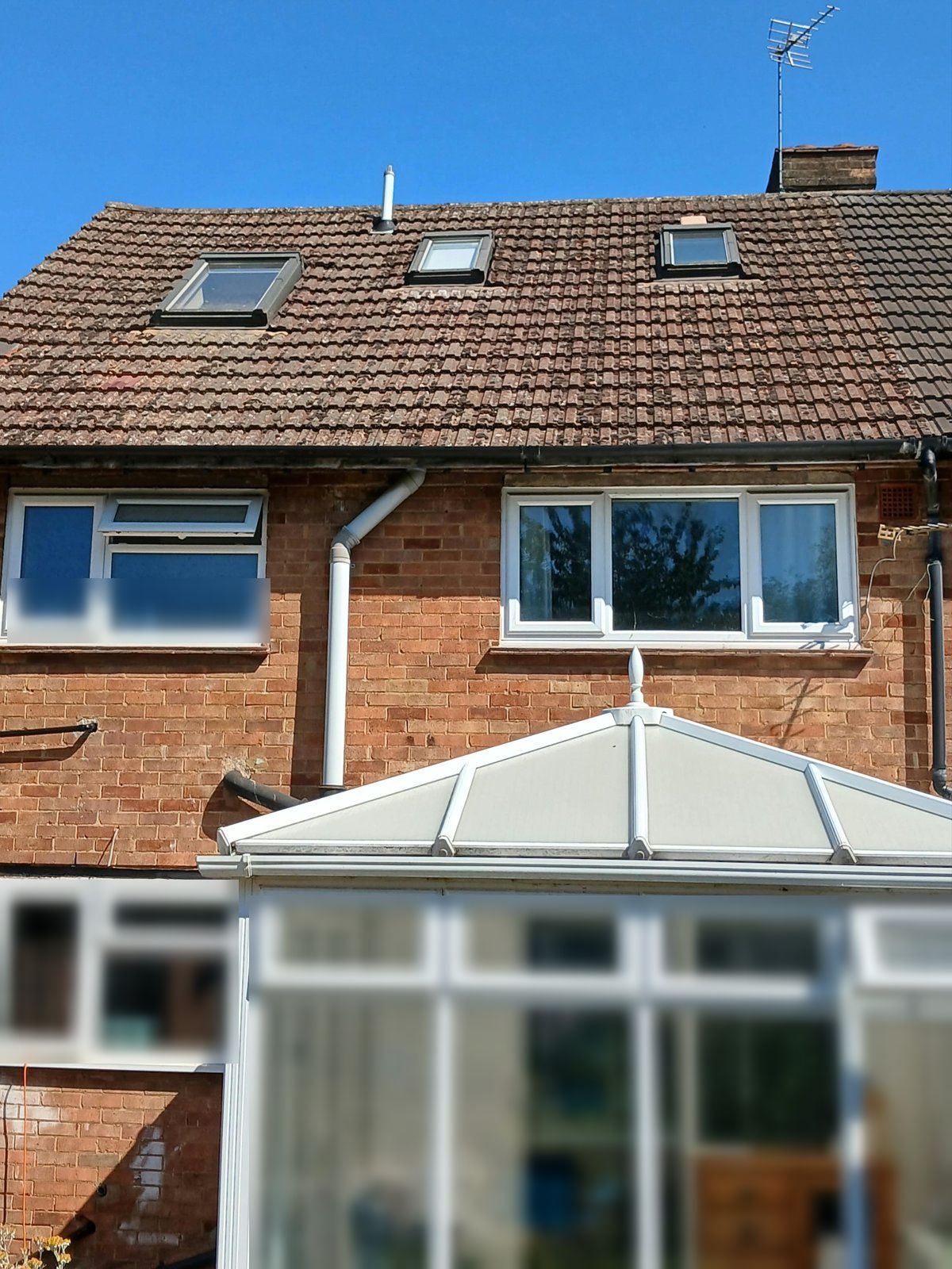 Rear roof of a loft-converted semi with three roof windows, covered in moss and lichen