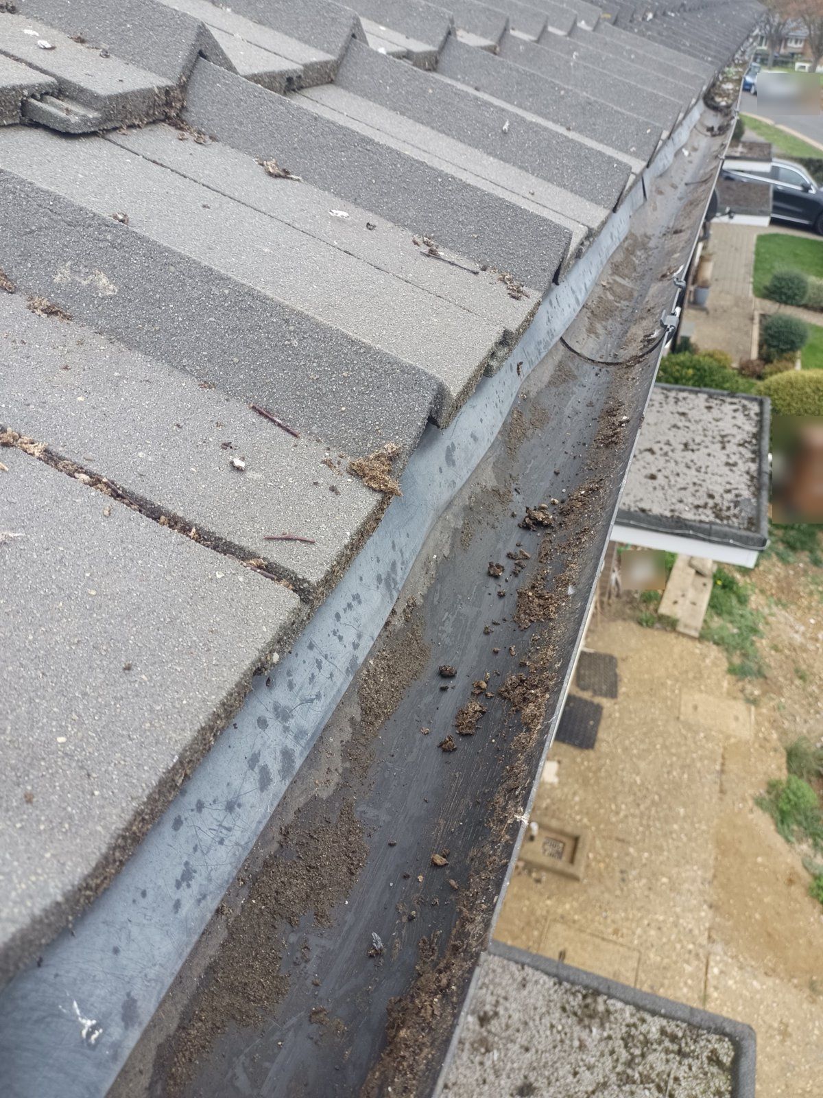 After: the same gutter run, cleared