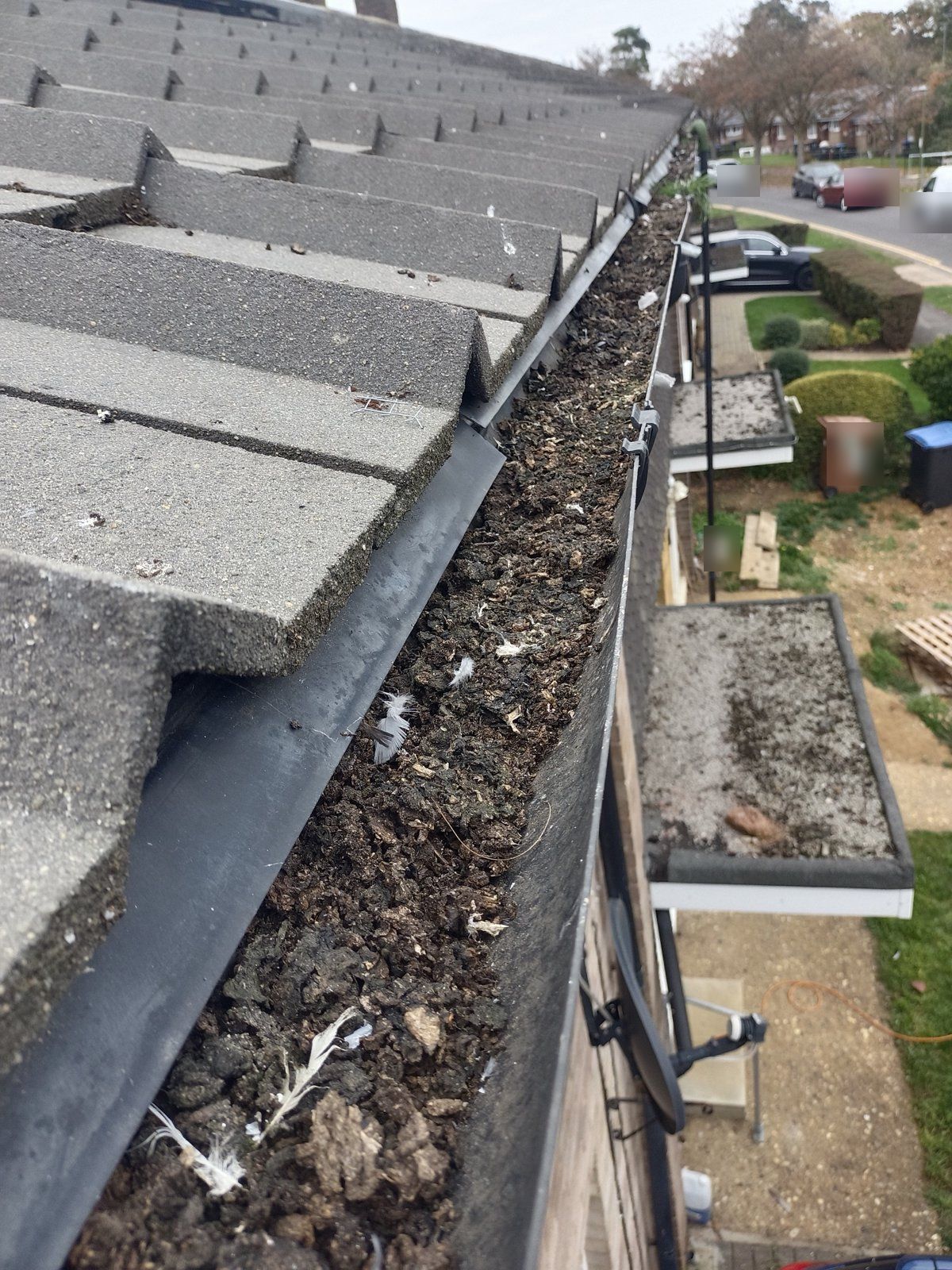 Before: gutter packed with moss