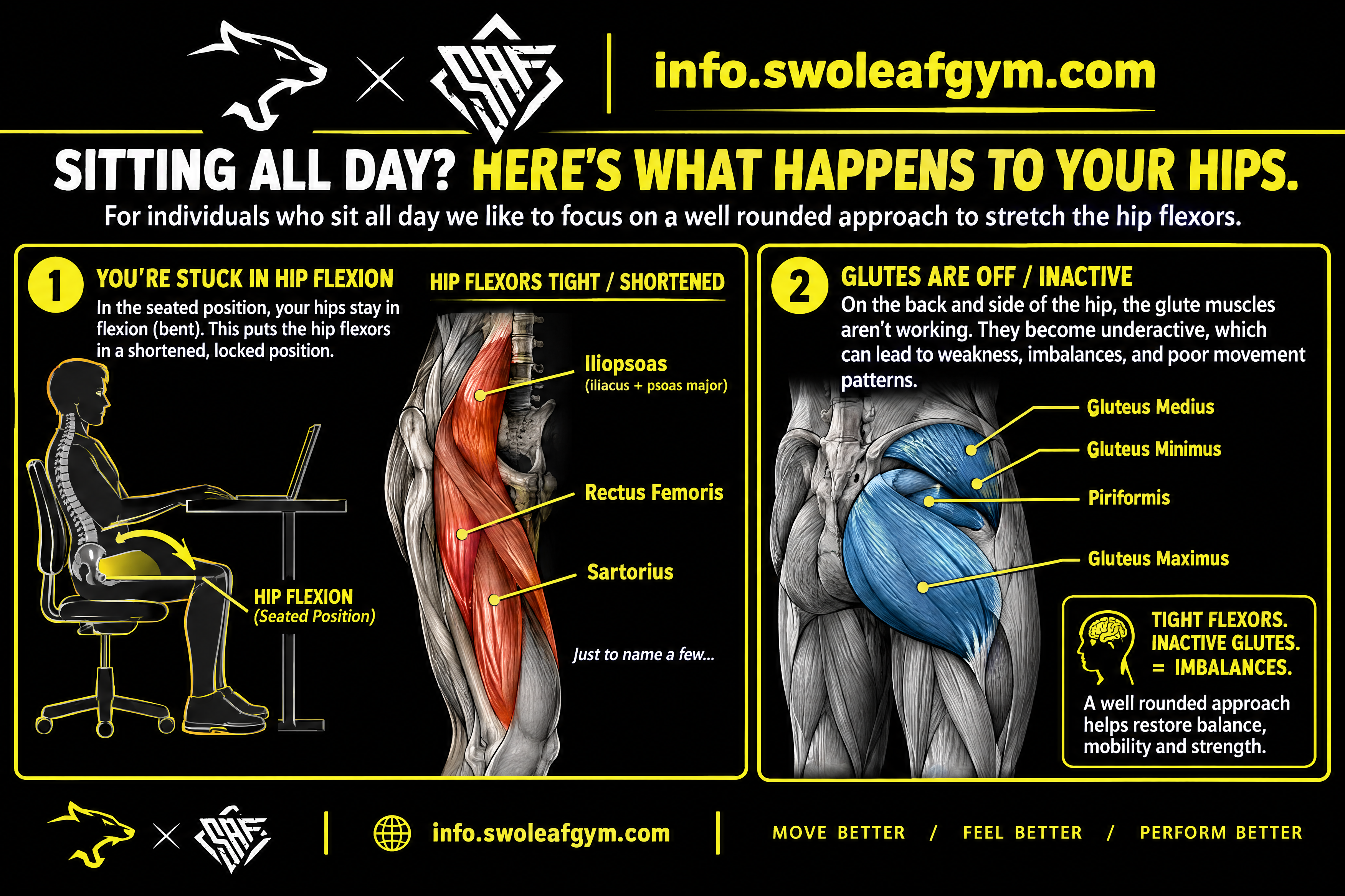 What happens to your hip flexors when you sit all day infographic