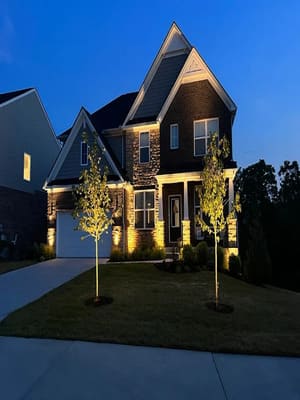 {{ custom_values.service_3 }} in {{custom_values.area_4})