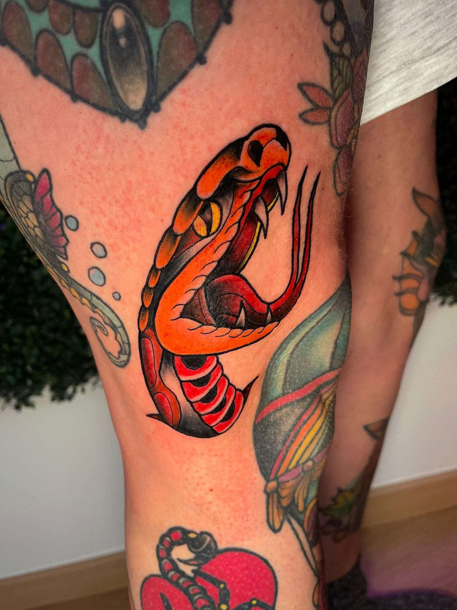 Traditional Tattoo Schlange in Farbe — Tätowierer Solingen Ohligs