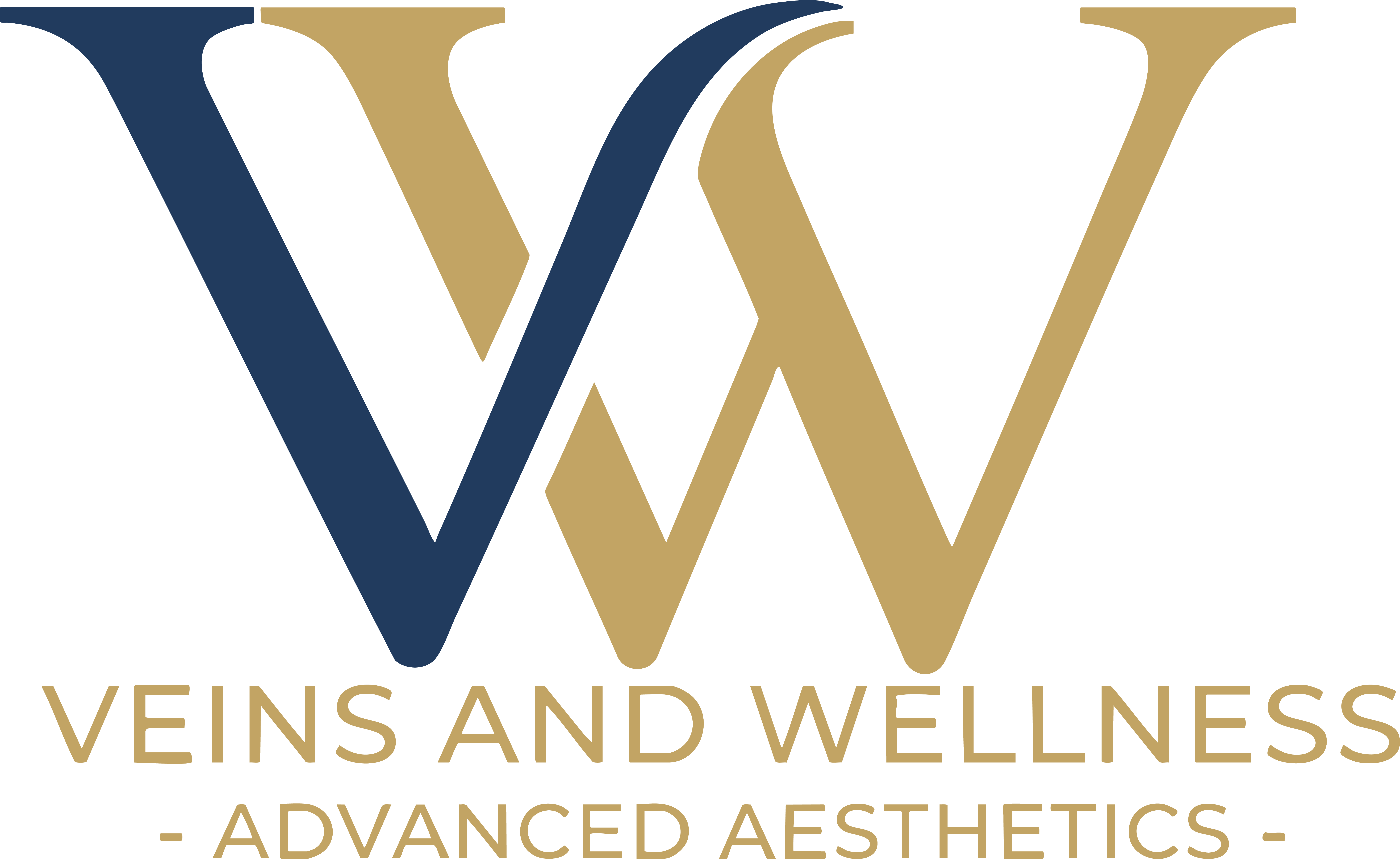 Veins and Wellness Medical Group