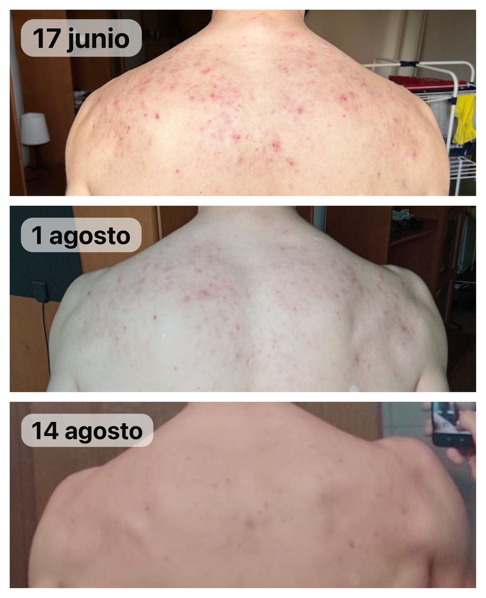Javier Santiago, especialista en fitoterapia china