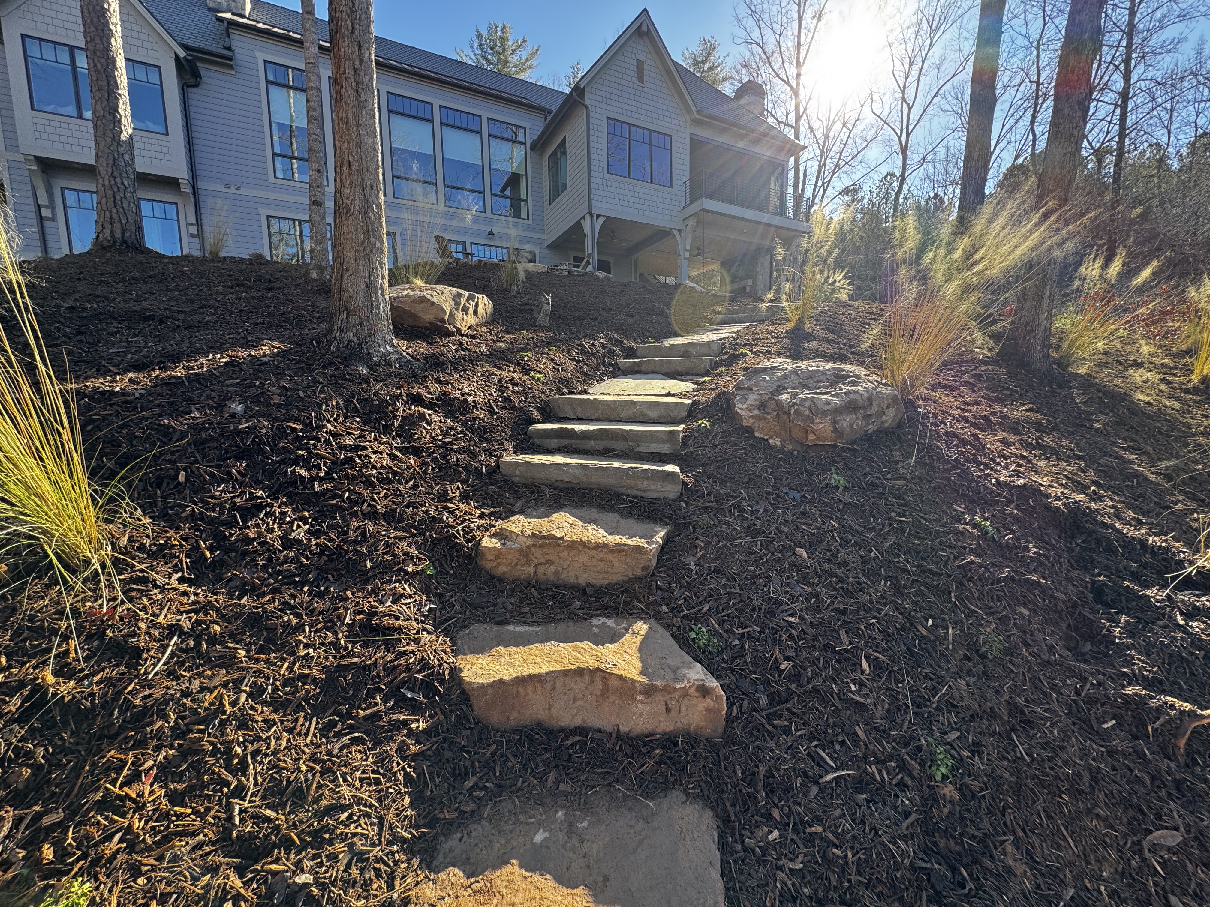 Stone steps through a wooded landscape