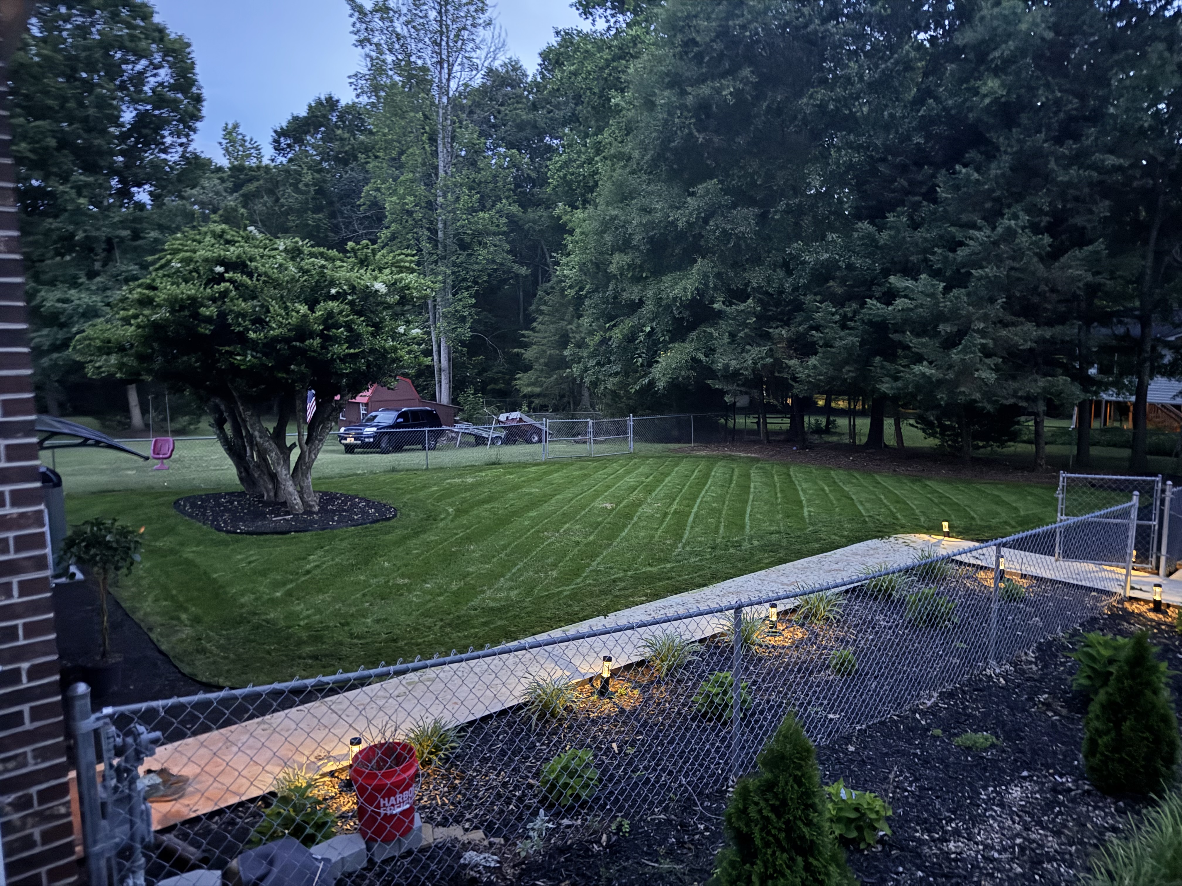 Open lawn framed by trees