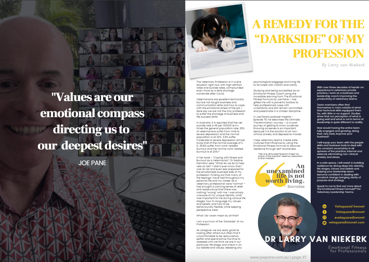 Vetsquared Innovet featured in the press