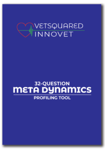 Meta Dynamics Thinking Profile