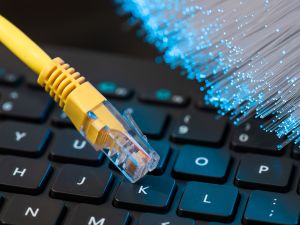 {{ custom_values.service_1 }} in {{custom_values.area_2})