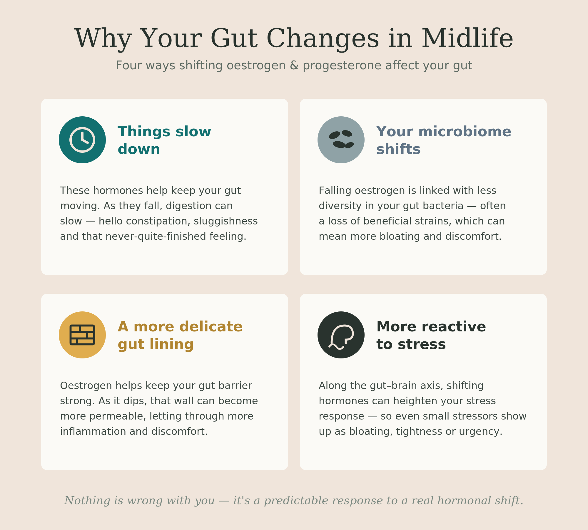 Four ways shifting hormones affect the gut in midlife: slower digestion, microbiome shifts, weaker lining, more stress reactivity.