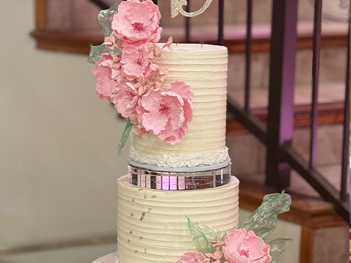 Quinceañera Cake Tastings in Sugar Land, TX