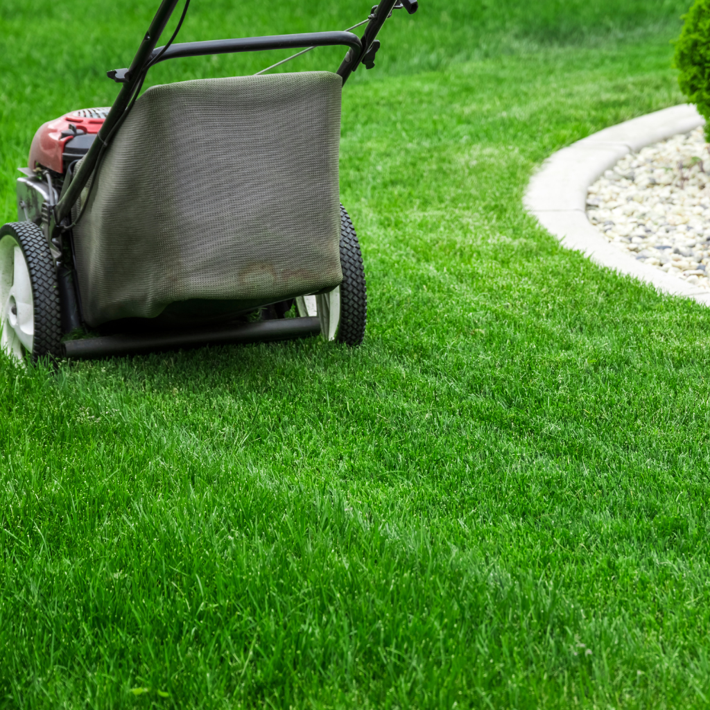 Lawn Care Services