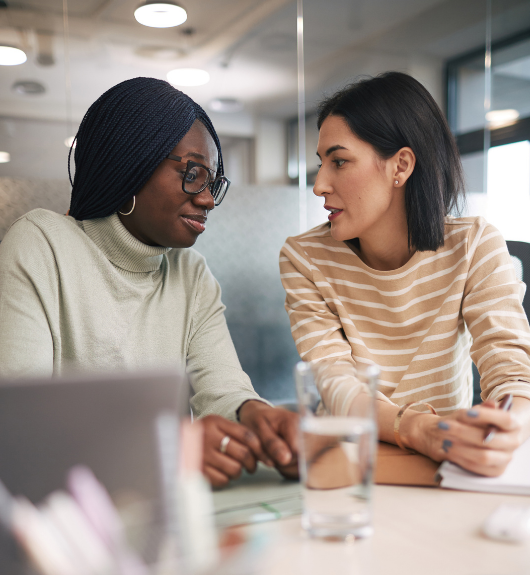 Mentorship