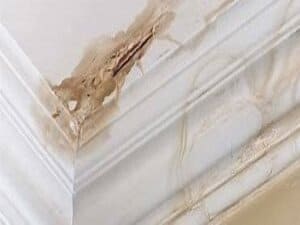 {{ custom_values.service_2 }} in {{custom_values.area_6})