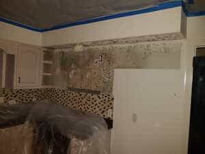 {{ custom_values.service_1 }} in {{custom_values.area_4})