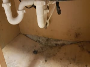 Mold restoration in Manatee county