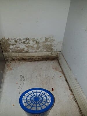 {{ custom_values.service_2 }} in {{custom_values.area_7})