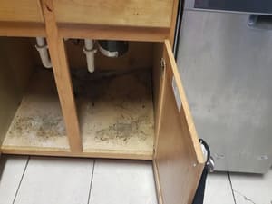 {{ custom_values.service_2 }} in {{custom_values.area_4})