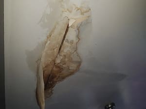 {{ custom_values.service_4 }} in {{custom_values.area_5})