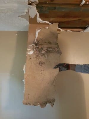 {{ custom_values.service_4 }} in {{custom_values.area_6})