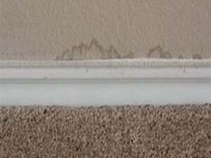 Mold assessment  (testing) in Manatee county