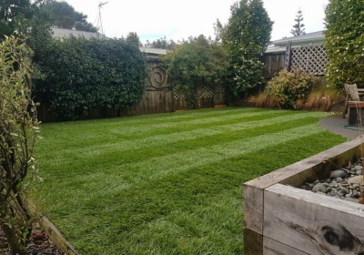 Ready Lawn installation project in Northland