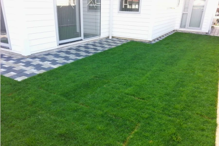 Ready Lawn Project in Northland