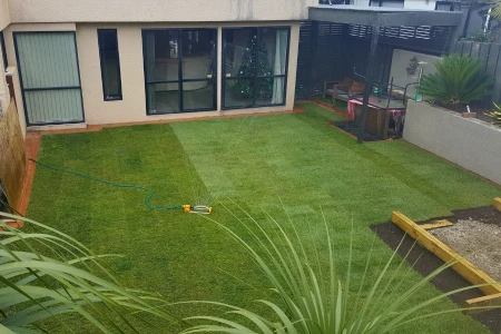 Newly Installed Ready Lawn in Whangarei