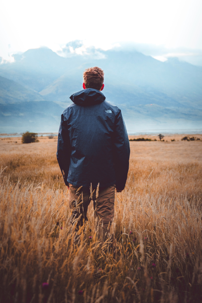 Man in a field looking at a mountain, back to the camera