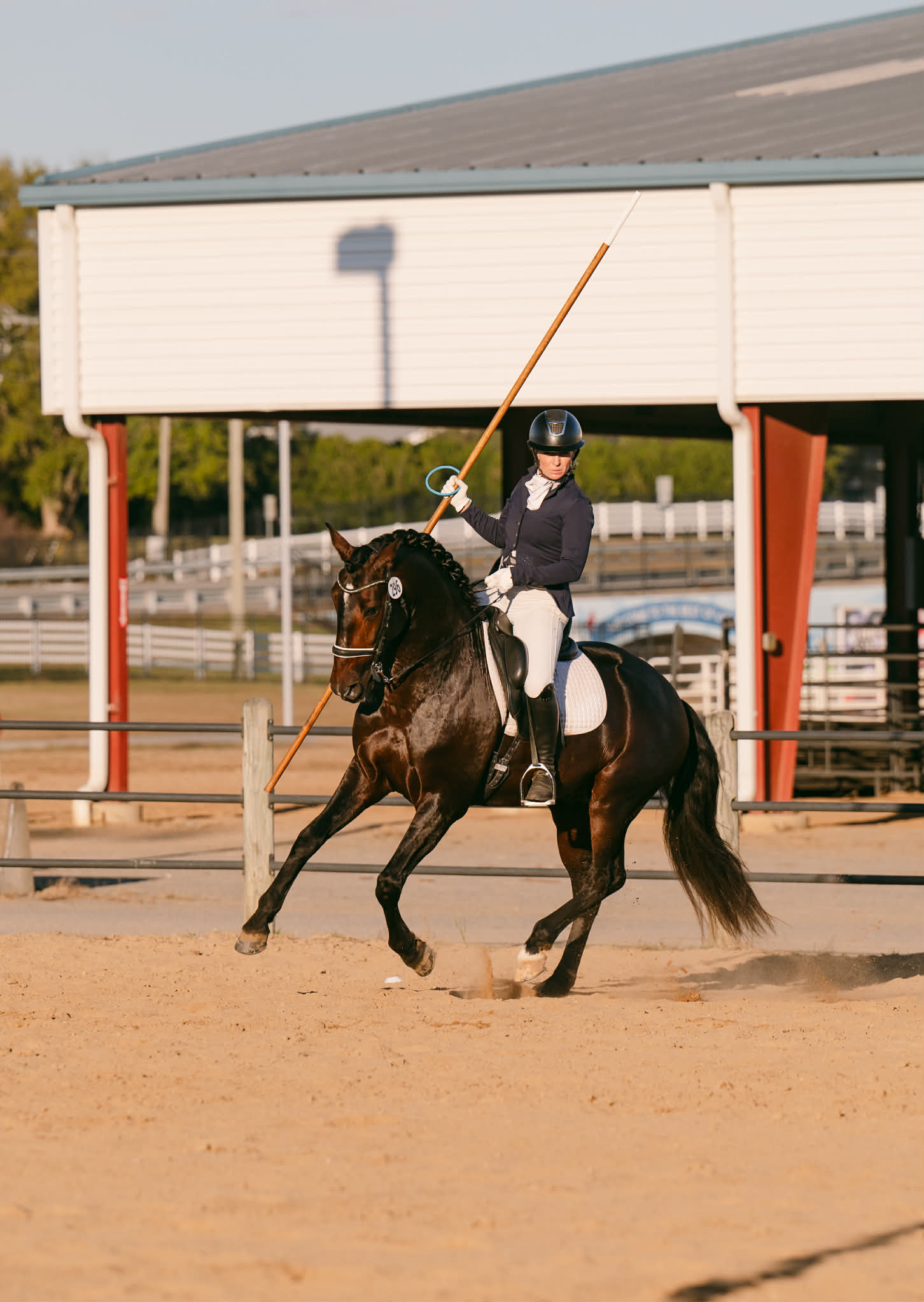 Pam Esteves and Stallion Poison of Azores Stables