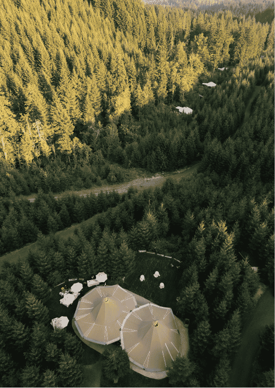 Deer Pond & Many More
