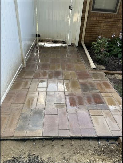 Lawn Care in Tree service