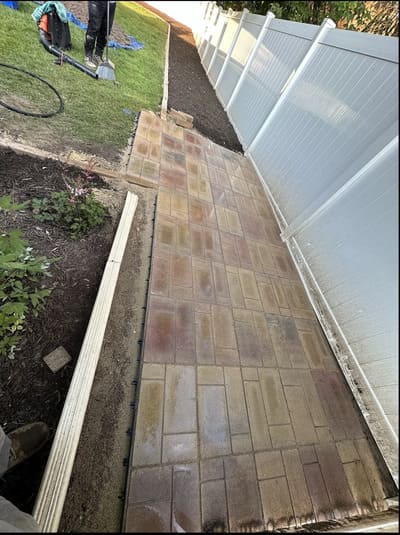 Tree removal in Tree service