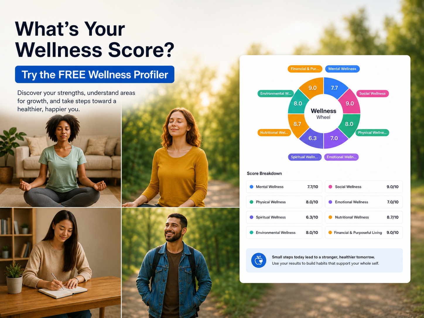 Wellness Wheel assessment overview