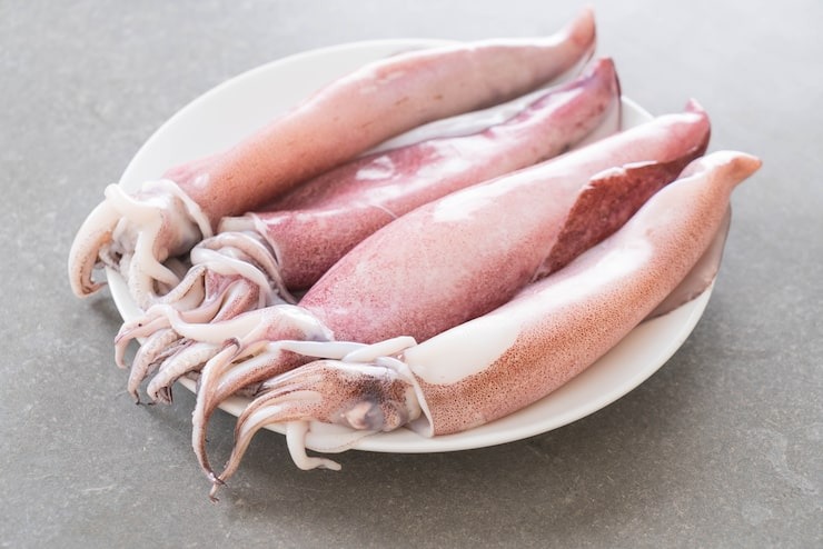 Calamars entiers frais disposés sur une assiette blanche, un produit de la marée issu de la pêche durable disponible au marché de Rungis en France.
