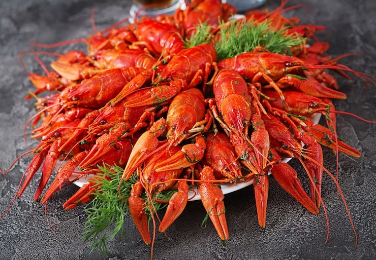 Plat généreux d'écrevisses rouges cuites avec aneth frais, un produit de la mer de qualité disponible au marché de Rungis en France.
