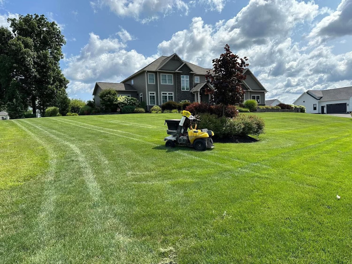 Green Thumb CNY annual lawn care service program