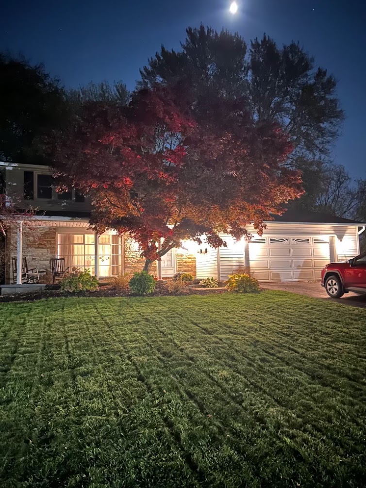 Lush striped lawn at dusk
