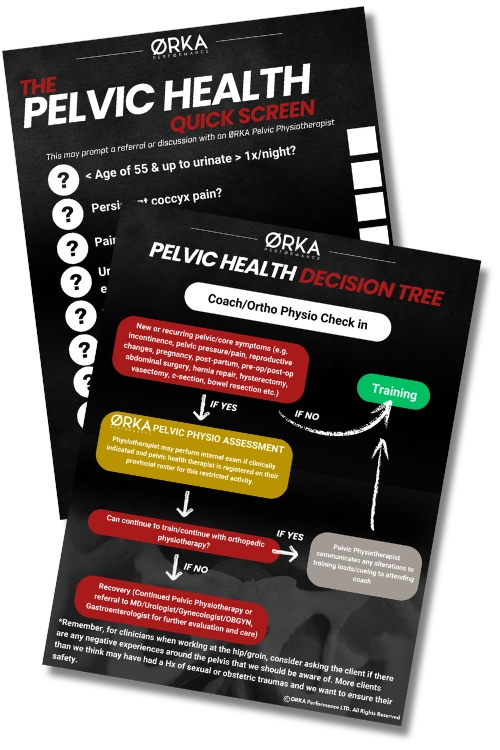 Pelvic health assessment at ØRKA Performance