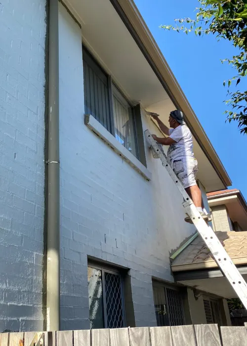 Exterior house painter ladder