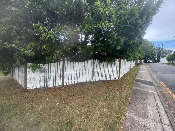Before Fence Painting